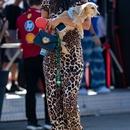 Filename=image000012.jpg
Filesize=345KiB
Dimensions=1540x2500
Date added=Sep 04, 2025 image000012.jpg