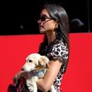 Filename=image000015.jpg
Filesize=215KiB
Dimensions=2500x1666
Date added=Sep 04, 2025 image000015.jpg