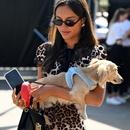 Filename=image000017.jpg
Filesize=349KiB
Dimensions=1666x2500
Date added=Sep 04, 2025 image000017.jpg