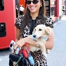 Filename=image000019.jpg
Filesize=462KiB
Dimensions=1666x2500
Date added=Sep 04, 2025 image000019.jpg