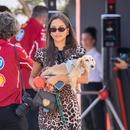 Filename=image02.jpg
Filesize=392KiB
Dimensions=2500x1667
Date added=Sep 04, 2025 image02.jpg