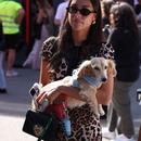 Filename=image03.jpg
Filesize=370KiB
Dimensions=1752x2500
Date added=Sep 04, 2025 image03.jpg