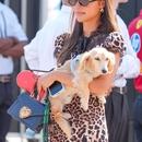 Filename=image07~0.jpg
Filesize=419KiB
Dimensions=1666x2500
Date added=Sep 05, 2025 image07~0.jpg