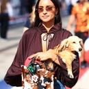 Filename=image005.jpg
Filesize=397KiB
Dimensions=1856x2500
Date added=Oct 20, 2025 image005.jpg