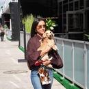 Filename=image013.jpg
Filesize=125KiB
Dimensions=1300x866
Date added=Oct 20, 2025 image013.jpg