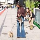 Filename=image016.jpg
Filesize=222KiB
Dimensions=1300x1022
Date added=Oct 20, 2025 image016.jpg