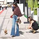 Filename=image018.jpg
Filesize=212KiB
Dimensions=1300x960
Date added=Oct 20, 2025 image018.jpg