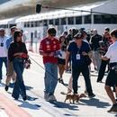 Filename=image022.jpg
Filesize=159KiB
Dimensions=1300x866
Date added=Oct 20, 2025 image022.jpg