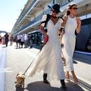 Filename=image022.jpg
Filesize=192KiB
Dimensions=1300x867
Date added=Oct 20, 2025 image022.jpg