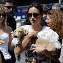 Filename=image029.jpg
Filesize=382KiB
Dimensions=2500x1666
Date added=Oct 24, 2025 image029.jpg