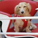 Filename=image009~0.jpg
Filesize=228KiB
Dimensions=2500x1666
Date added=Oct 27, 2025 image009~0.jpg