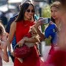 Filename=image012~0.jpg
Filesize=360KiB
Dimensions=2500x1667
Date added=Oct 27, 2025 image012~0.jpg