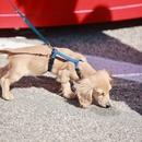 Filename=image146.jpg
Filesize=467KiB
Dimensions=2500x1667
Date added=Aug 22, 2025 image146.jpg