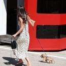 Filename=image168.jpg
Filesize=464KiB
Dimensions=1667x2500
Date added=Aug 22, 2025 image168.jpg