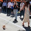 Filename=image175.jpg
Filesize=658KiB
Dimensions=1667x2500
Date added=Aug 22, 2025 image175.jpg