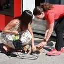 Filename=image184.jpg
Filesize=609KiB
Dimensions=1667x2500
Date added=Aug 22, 2025 image184.jpg