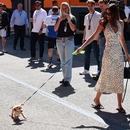 Filename=image210.jpg
Filesize=647KiB
Dimensions=1667x2500
Date added=Aug 22, 2025 image210.jpg