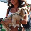 Filename=image604.jpg
Filesize=386KiB
Dimensions=1667x2500
Date added=Aug 23, 2025 image604.jpg