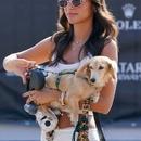 Filename=image624.jpg
Filesize=401KiB
Dimensions=1667x2500
Date added=Aug 23, 2025 image624.jpg