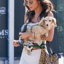 Filename=image627.jpg
Filesize=431KiB
Dimensions=1667x2500
Date added=Aug 23, 2025 image627.jpg