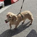 Filename=image678.jpg
Filesize=931KiB
Dimensions=2500x1667
Date added=Aug 23, 2025 image678.jpg