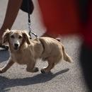 Filename=image679.jpg
Filesize=362KiB
Dimensions=2500x1667
Date added=Aug 23, 2025 image679.jpg