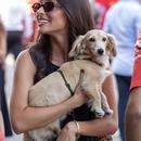 Filename=image756.jpg
Filesize=295KiB
Dimensions=1667x2500
Date added=Aug 23, 2025 image756.jpg