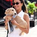 Filename=image000014.jpg
Filesize=363KiB
Dimensions=1667x2500
Date added=Aug 26, 2025 image000014.jpg