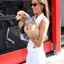 Filename=image000015.jpg
Filesize=318KiB
Dimensions=1666x2500
Date added=Aug 26, 2025 image000015.jpg