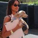 Filename=image925.jpg
Filesize=271KiB
Dimensions=1667x2500
Date added=Aug 26, 2025 image925.jpg