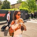 Filename=image929.jpg
Filesize=497KiB
Dimensions=2500x1668
Date added=Aug 26, 2025 image929.jpg