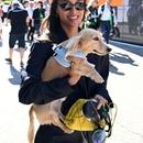 Filename=image000004.jpg
Filesize=350KiB
Dimensions=1666x2500
Date added=Aug 26, 2025 image000004.jpg