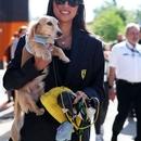 Filename=image000006.jpg
Filesize=301KiB
Dimensions=1667x2500
Date added=Aug 26, 2025 image000006.jpg