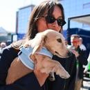 Filename=image954.jpg
Filesize=245KiB
Dimensions=1667x2500
Date added=Aug 26, 2025 image954.jpg