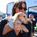 Filename=image986.jpg
Filesize=251KiB
Dimensions=1667x2500
Date added=Aug 26, 2025 image986.jpg