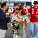 Filename=image000046.jpg
Filesize=405KiB
Dimensions=2500x1666
Date added=Aug 28, 2025 image000046.jpg