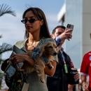 Filename=image1085.jpg
Filesize=335KiB
Dimensions=2500x1667
Date added=Aug 28, 2025 image1085.jpg