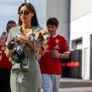 Filename=image1099.jpg
Filesize=400KiB
Dimensions=2500x1667
Date added=Aug 28, 2025 image1099.jpg