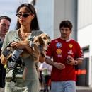 Filename=image17.jpg
Filesize=123KiB
Dimensions=1300x866
Date added=Sep 05, 2025 image17.jpg