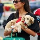 Filename=image000048.jpg
Filesize=333KiB
Dimensions=1666x2500
Date added=Aug 29, 2025 image000048.jpg