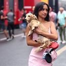 Filename=image1191.jpg
Filesize=287KiB
Dimensions=2500x1667
Date added=Aug 28, 2025 image1191.jpg