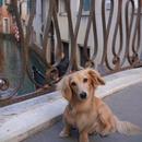 Filename=466971363_923479595918037_815652476966590937_n.jpg
Filesize=53KiB
Dimensions=640x736
Date added=Aug 22, 2025 466971363_923479595918037_815652476966590937_n.jpg