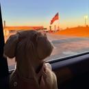 Filename=SaveClip_App_567746840_18532306645000657_3922718768316829779_n.jpg
Filesize=62KiB
Dimensions=1080x1257
Date added=Nov 13, 2025 SaveClip_App_567746840_18532306645000657_3922718768316829779_n.jpg