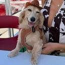 Filename=SaveClip_App_568541508_18532306720000657_4634000782761010933_n.jpg
Filesize=118KiB
Dimensions=1080x1257
Date added=Nov 13, 2025 SaveClip_App_568541508_18532306720000657_4634000782761010933_n.jpg