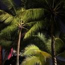 Filename=SaveClip_App_561757112_18529547341000657_7063284560293409700_n.jpg
Filesize=417KiB
Dimensions=1440x1799
Date added=Oct 16, 2025 SaveClip_App_561757112_18529547341000657_7063284560293409700_n.jpg