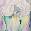 Filename=SaveClip_App_589069434_18539960458000657_6396820780563821156_n.jpg
Filesize=114KiB
Dimensions=1080x1267
Date added=Nov 28, 2025 SaveClip_App_589069434_18539960458000657_6396820780563821156_n.jpg